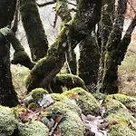 Les Trigones Du Causse -maison Atypique Avec Piscine Privée Saint-Martin-Labouval