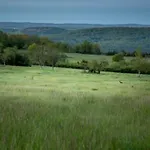 Les Trigones Du Causse -maison Atypique Avec Piscine Privee *